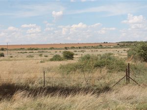 428 ha Farm in Ottosdal