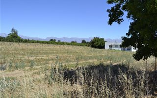 1000 m² Land available in Prince Alfred Hamlet