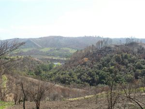 2943 m² Land available in Eastford