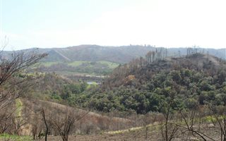 2943 m² Land available in Eastford
