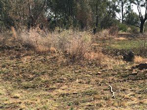 21.2 ha Land available in De Deur