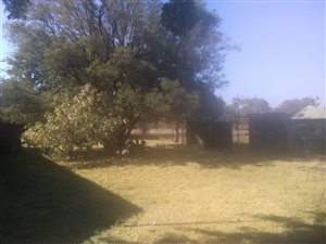 8.5 ha Farm in Grootvlei AH