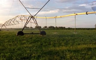 40 ha Farm in Elandsheuwel
