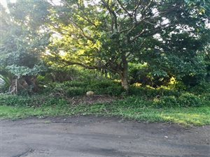 2295 m² Land available in Southbroom