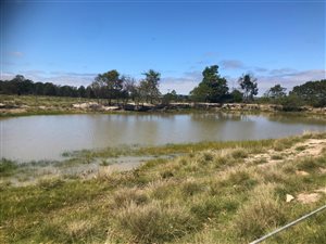 36.9 ha Farm in Port Elizabeth Central