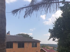 Bachelor apartment in Winchester Hills