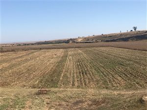 115 ha Land available in Utrecht