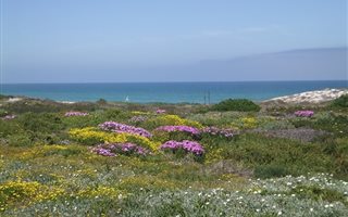 770 m² Land available in Yzerfontein