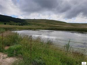 138.2 ha Farm in Mooi River