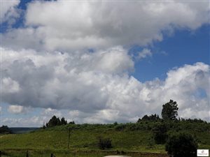 138.2 ha Farm in Mooi River