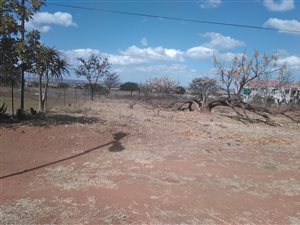 5 ha Farm in Dalmada AH