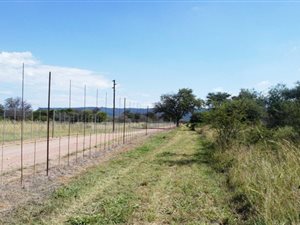 6 ha Farm in Mookgophong (Naboomspruit)