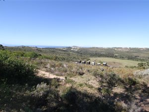 15 ha Farm in Robberg