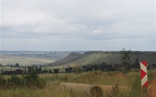 1000 m² Land available in Presidentsrus