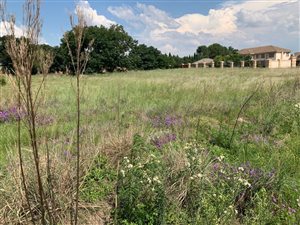 8517 m² Land available in Raslouw AH