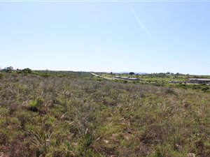 2030 m² Land available in Grahamstown