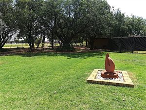 10 ha Farm in Carletonville