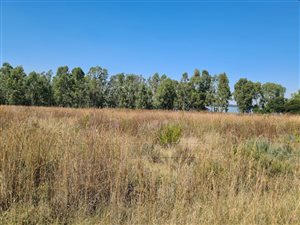 2.1 ha Farm in Oranjeville