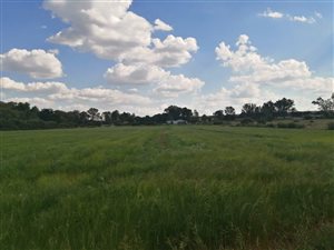124 ha Farm in Zeerust