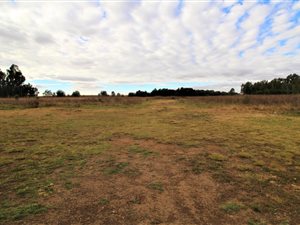 5.9 ha Land available in Benoni AH