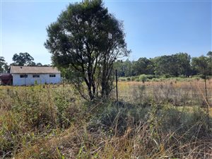 3.5 ha Farm in Marlbank