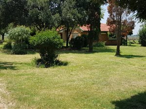 3 Bed House in Houtkop AH