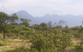 3000 m² Land available in Blyde Wildlife Estate