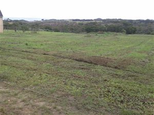 9421 m² Land available in Glen Eden