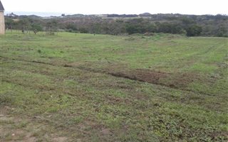 9421 m² Land available in Glen Eden
