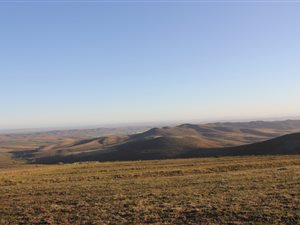 522.4 ha Farm in Riversdale