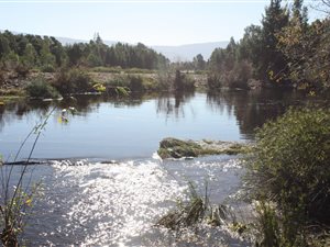 90 ha Farm in Swellendam
