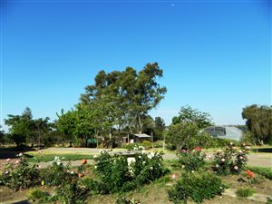 2 Bed Garden Cottage in President Park