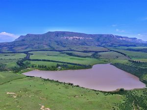 947 ha Farm in Harrismith