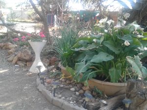 1 ha Farm in Sundra