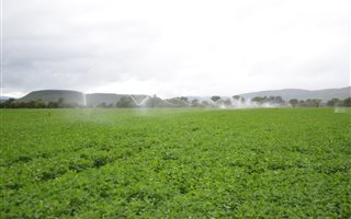 42 ha Farm in Alma