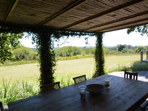 47 ha Farm in Harkerville