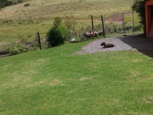 3 Bedroom House in Bulwer