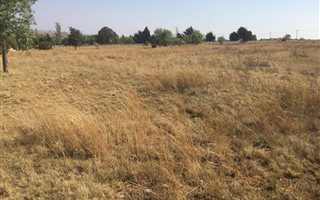 1 ha Land available in Austin View