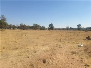 8.5 ha Farm in Wonderboom