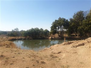 8.5 ha Farm in Wonderboom