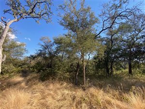 1 ha Land available in Hoedspruit