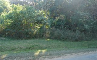 1521 m² Land available in Hibberdene