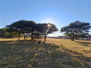 2.2 ha Farm in Annlin