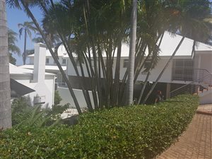 50 m² Office Space in Berea West
