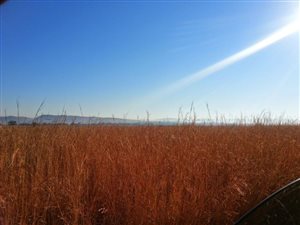 48.4 ha Land available in Gerhardsville