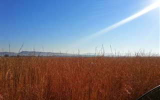 48.4 ha Land available in Gerhardsville