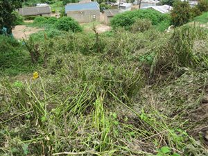 330 m² Land available in Ntuzuma