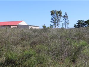 2000 m² Land available in Grahamstown