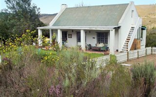 104 ha Farm in Wittedrift