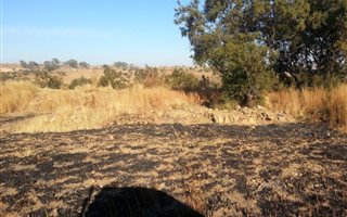 85.6 ha Land available in Gerhardsville